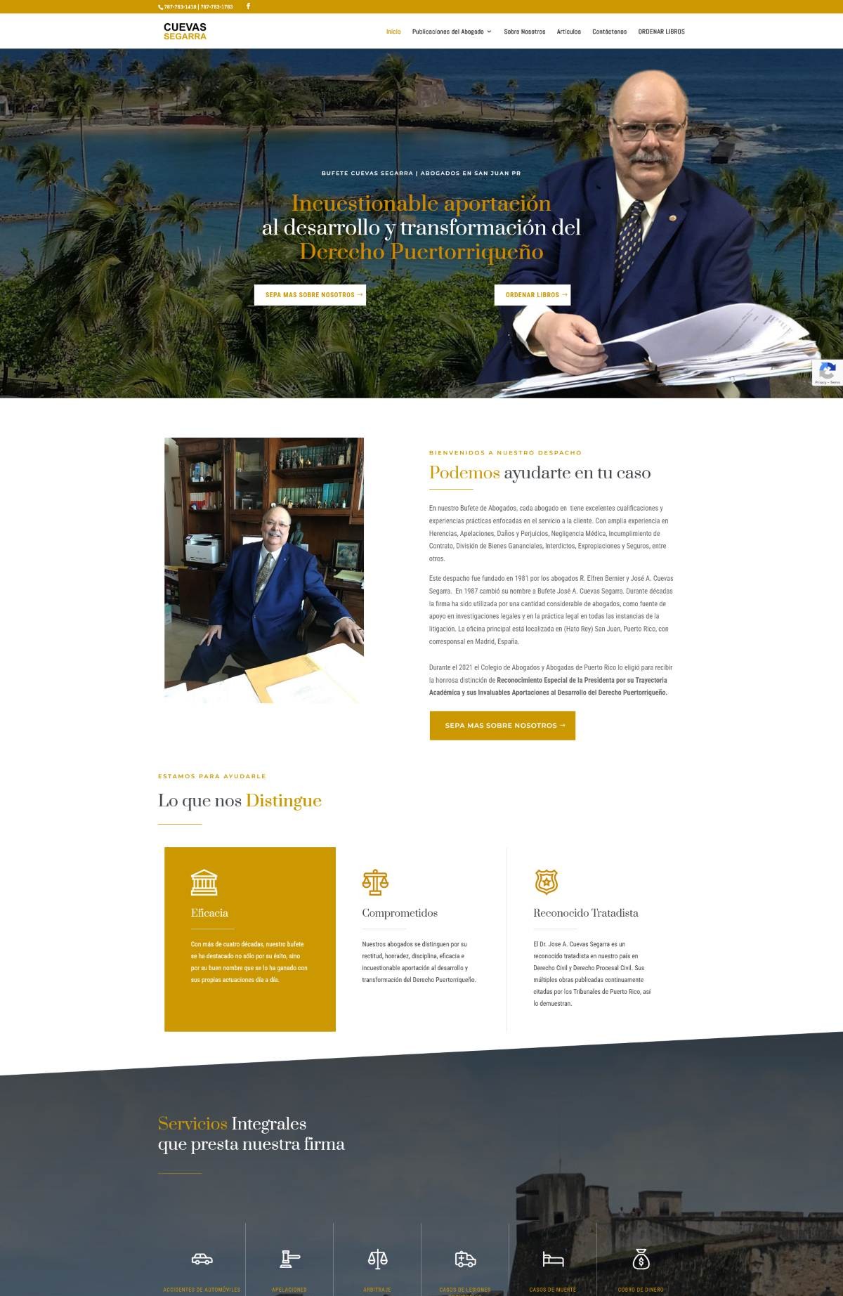 Lugo Mender Website Image